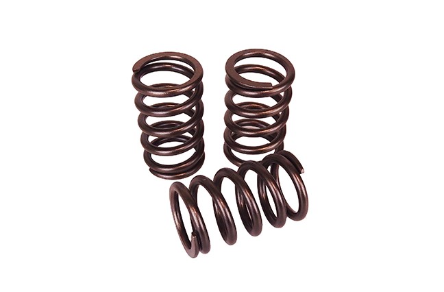 Performance Valve Spring Kit SAAB 9-5 2.0 2.3 turbo B205 B235 Trionic7